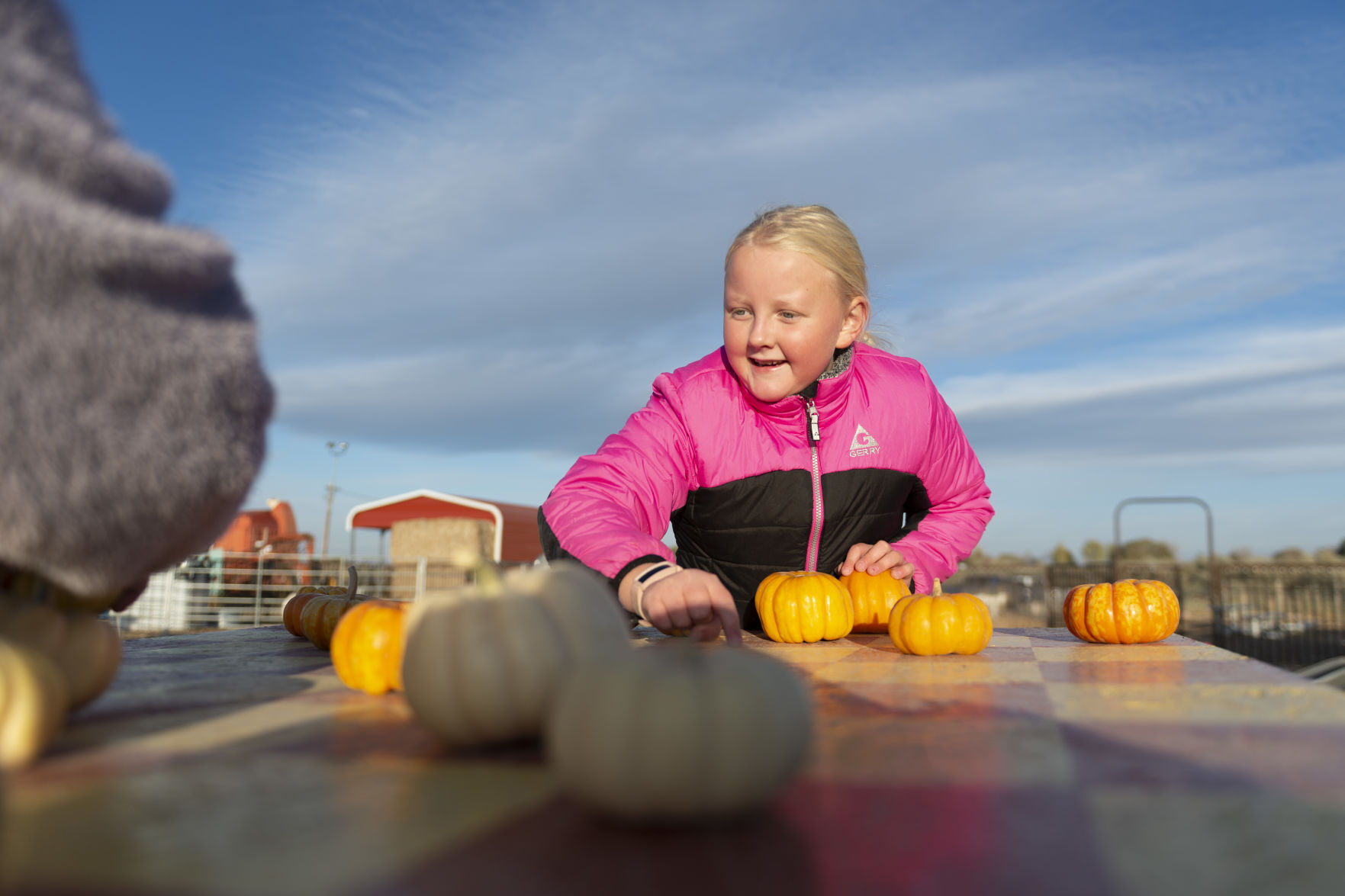 Tubbs' Berry Farm offers a variety of fun